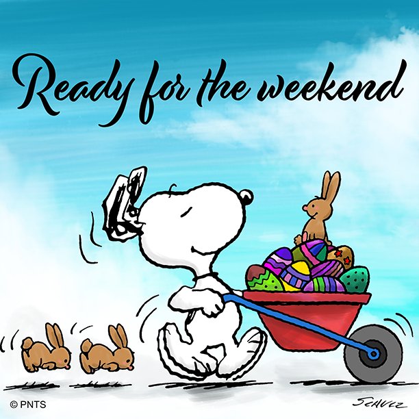 DZj1XWQUQAY4WSQ.jpg (612Ã612)