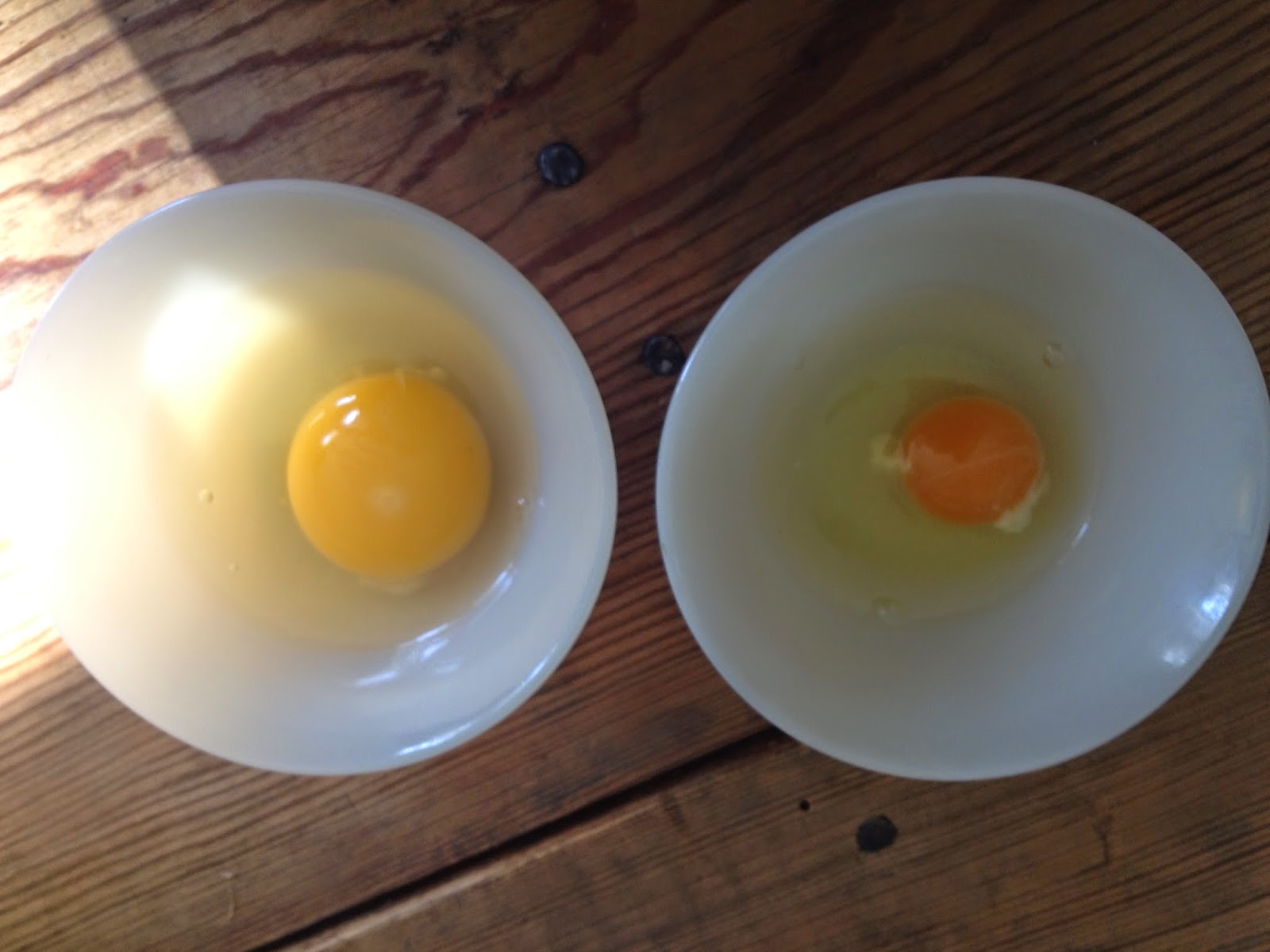 Headspace Pullet Eggs and the Rooster
