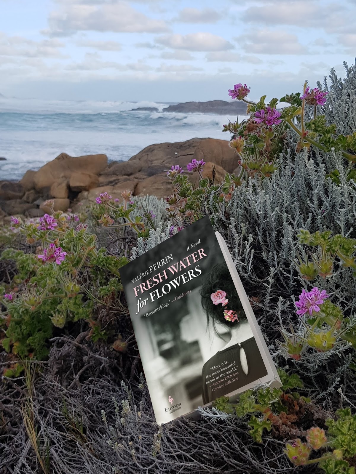 but books are better Book Review FRESH WATER FOR FLOWERS by Valerie