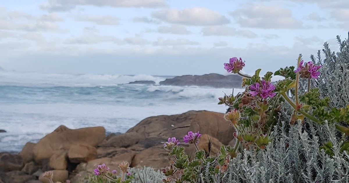 but books are better Book Review FRESH WATER FOR FLOWERS by Valerie