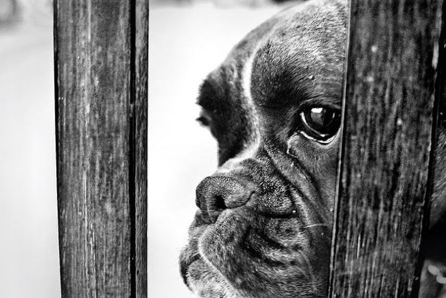 %232.%2BYou%2Bcan%E2%80%99t%2Bbe%2Btruly