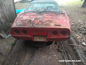 Rear deck of the 1968 Corvette covered in animal waste and debris from decades in storage.