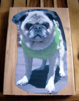 Life Is Art Art Is Life Yarn Painting Tutorial Heavenly Pug