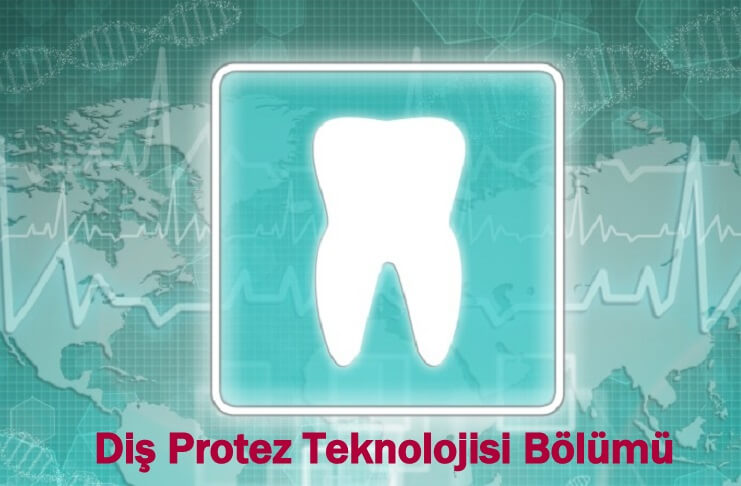 Diş Protez Teknolojisi Programı Nedir?