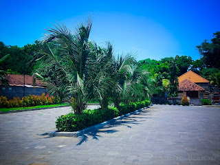 Sweet Front Yard Of The Eco Park And The Clear Blue Sky At Tangguwisia Village, North Bali, Indonesia