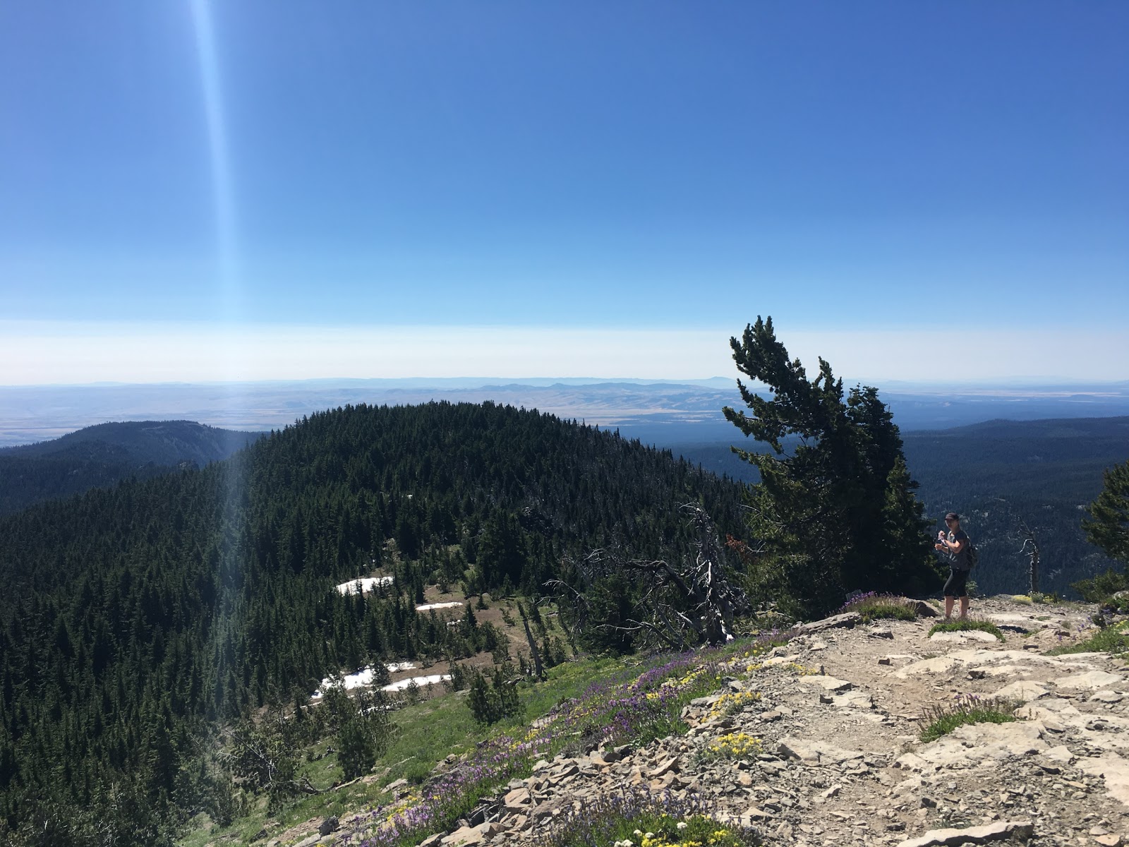 Badger Creek Wilderness run