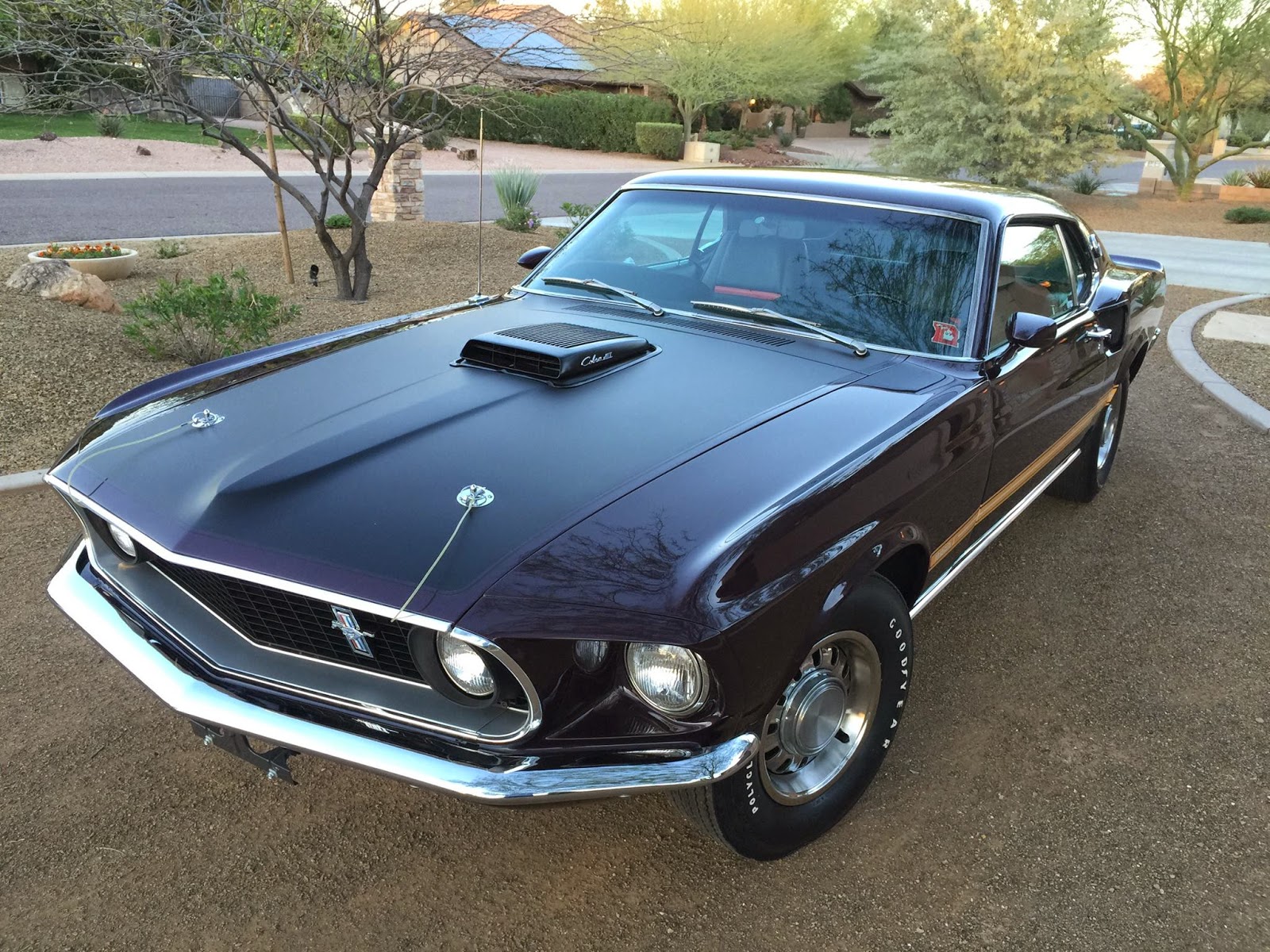 Virginia Classic Mustang Blog: 1969 Mustang Mach 1 in Purple!!!