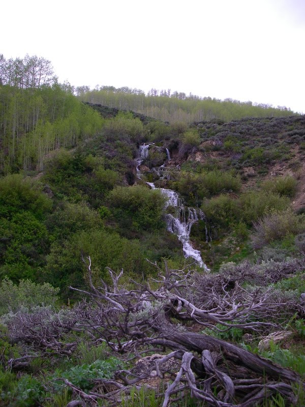 Utah Water Log Miller Flat Road