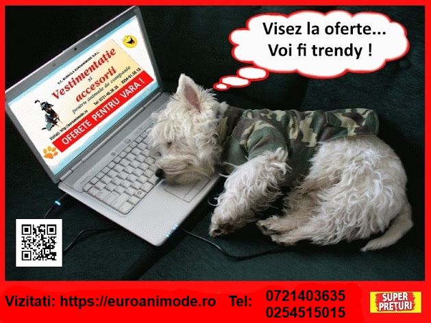 In curand OFERTELE PENTRU VARA !