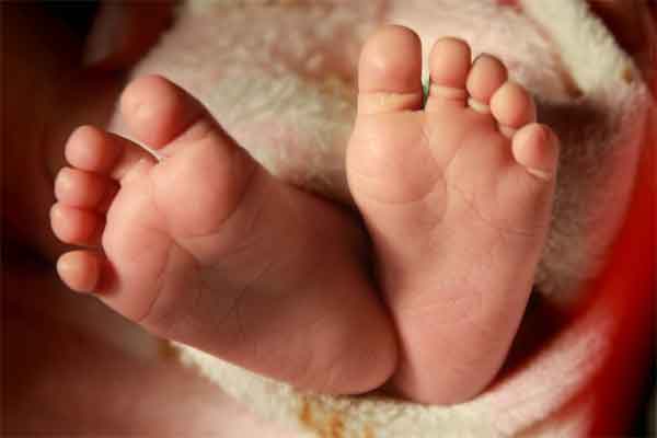 News, National, India, New Delhi, Molestation, Minor Girls, Police, Arrested, Accused, Hospital, Case, Delhi Teen, Molested Allegedly By 60-Year-Old, Gives Birth On Terrace: Cops