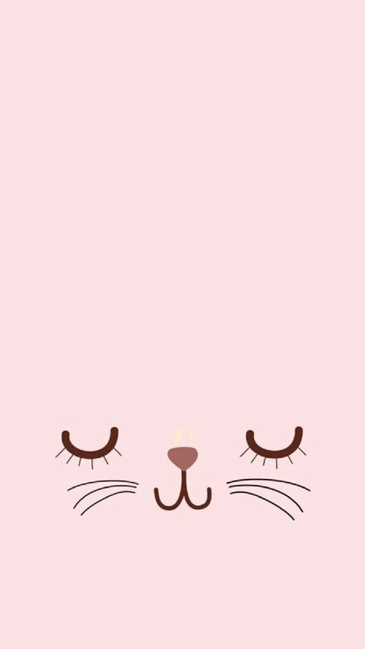 Chi tiết với hơn 114 hình nền mèo cute màu hồng tuyệt vời nhất - Tin học  Đông Hòa