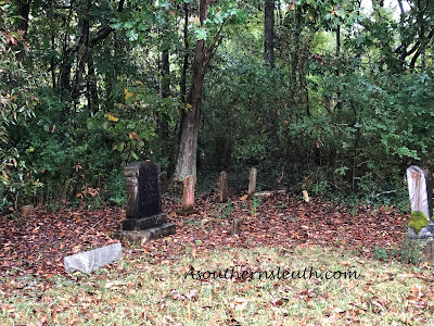 Blooming Grove Cemetery, Polk County, Georgia, Genealogy, Frances Rainwater, Frances Ayers, Frances Bailey, Robert A. Bailey