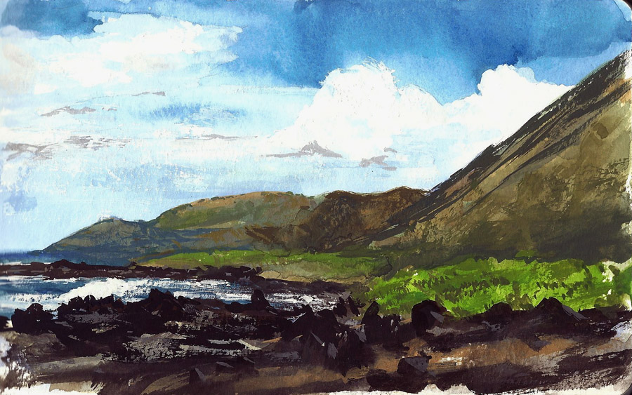 Cameron Chun Summer in Honolulu