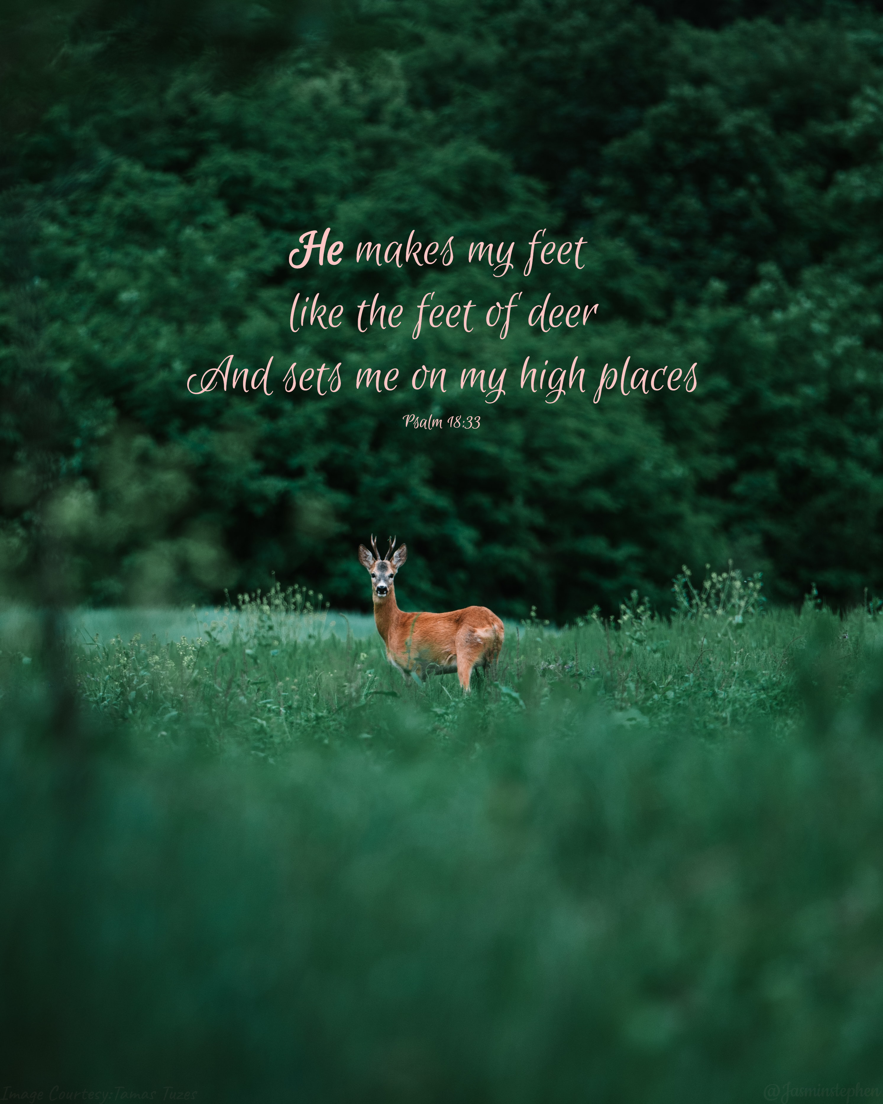 Psalm 18 33