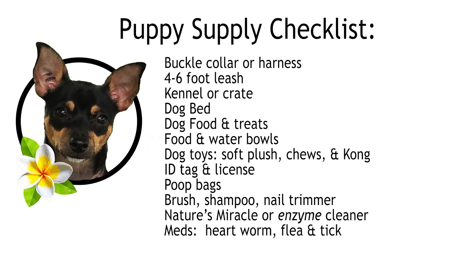 Puppy Supply Checklist Such Good Dogs
