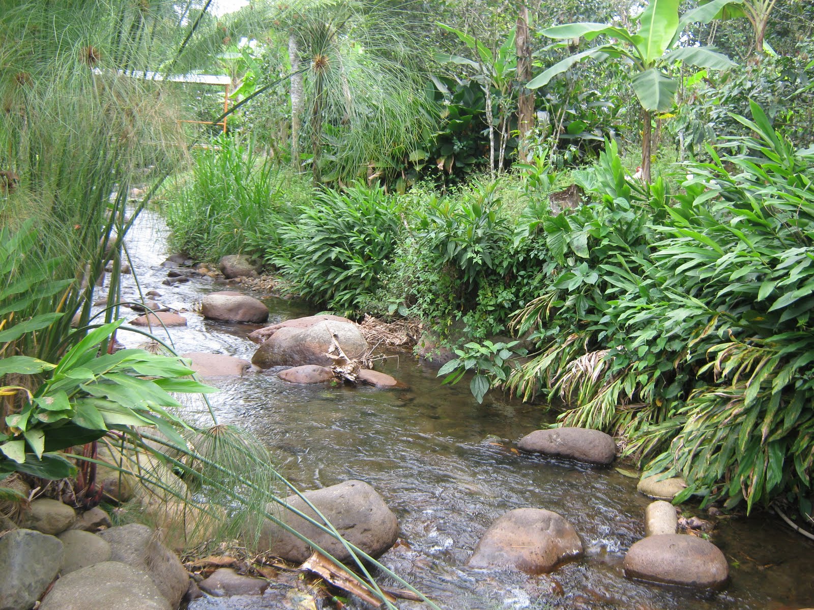 SALENTO ALOJAMIENTO RURAL VILLA NATALIA