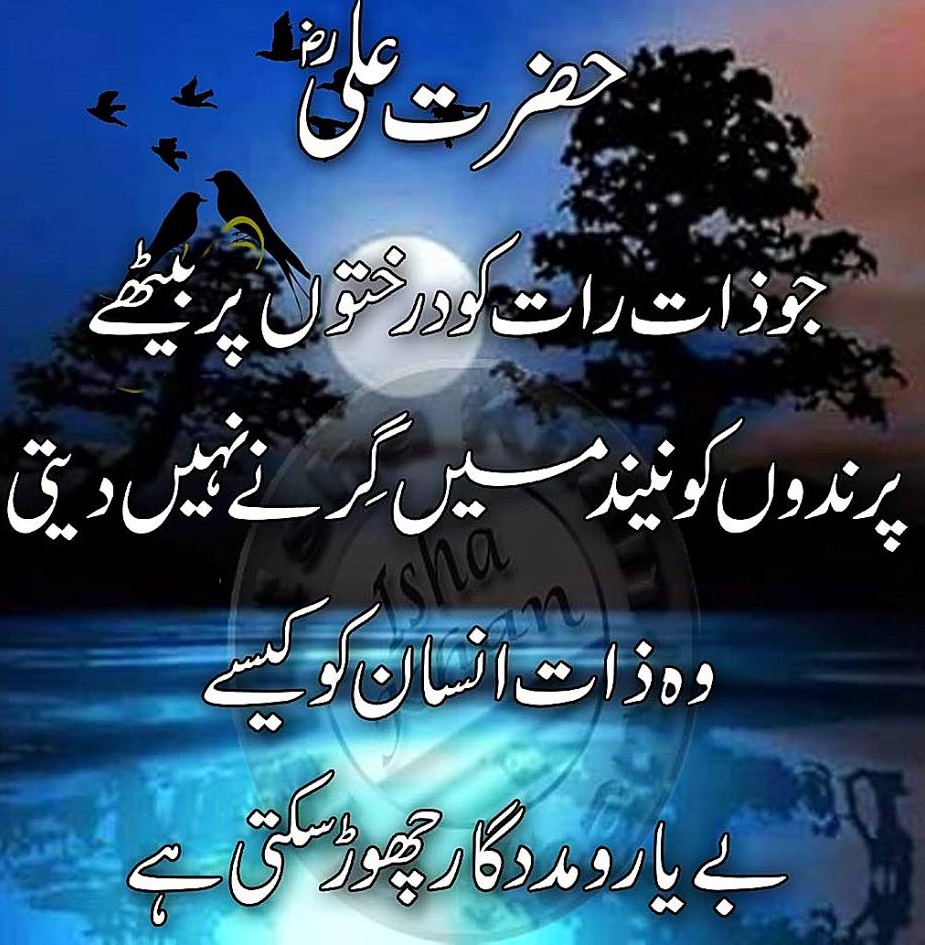 Hazrat Ali R A Quotes are best and very awesome sayings the best images of Beautiful Hazrat Ali R A Islamic Quotes Find the best Islamic sayings