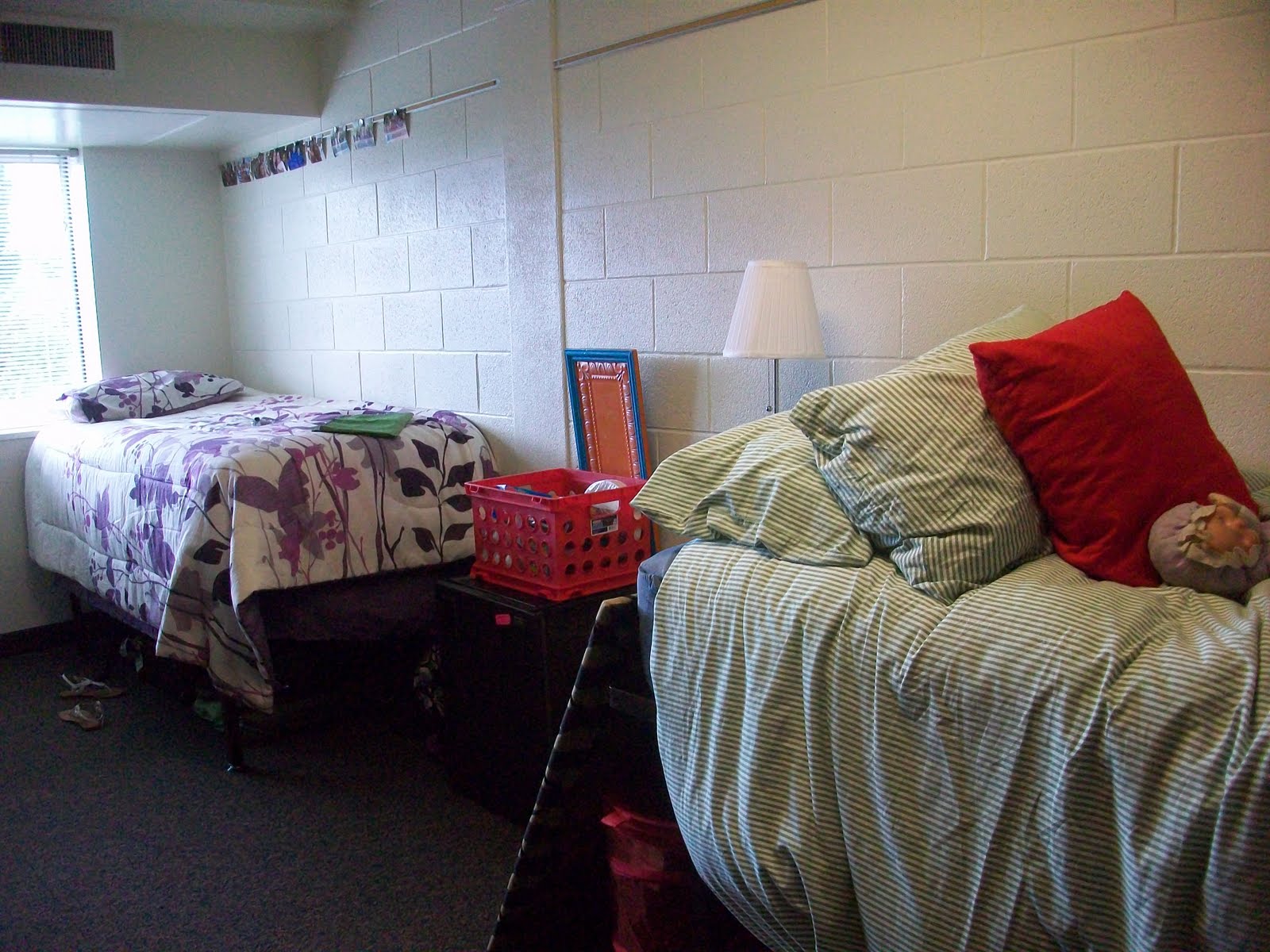 Freshman Year at BYU!