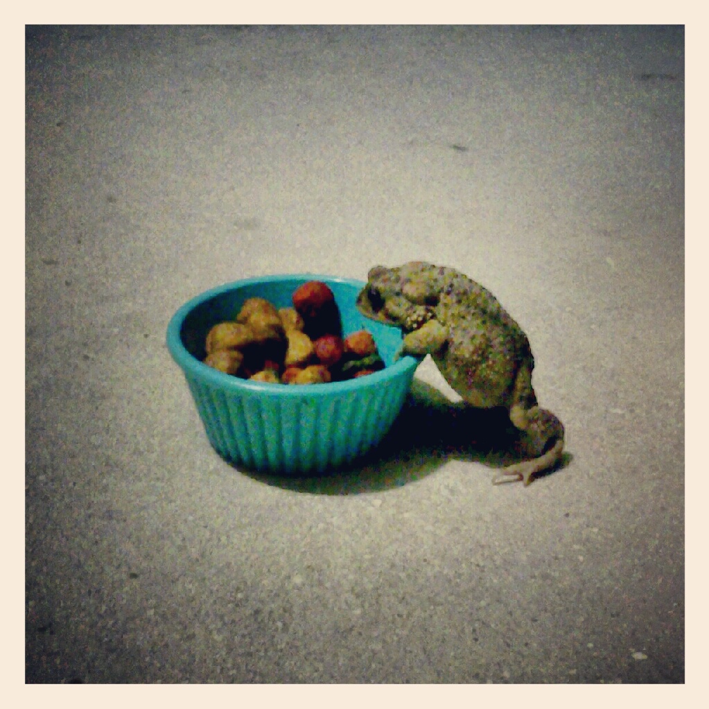 Confetti Monster Schemes I spy...