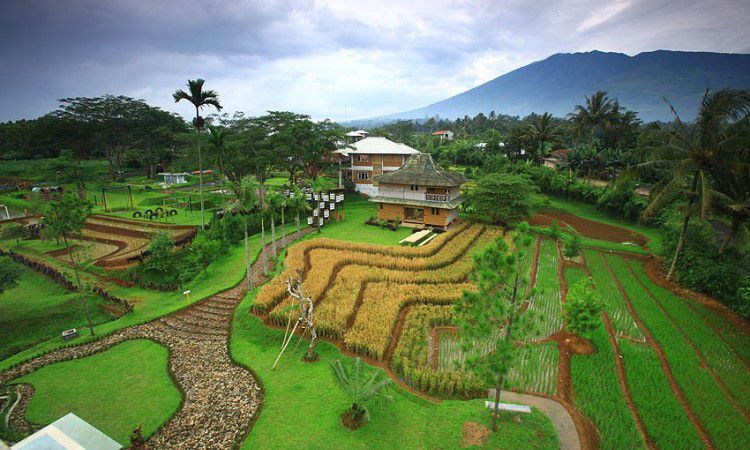 Liburan Seru ke Wisata Desa Kampung Bambu Bogor