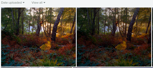 Revisiting Color Negative Scanning and Color Spaces