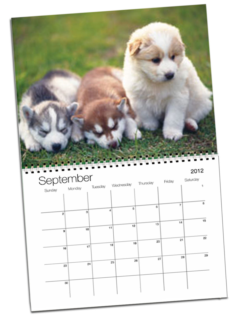 Mom's Calendars Undermine Billy Doe's Story Big Trial Philadelphia