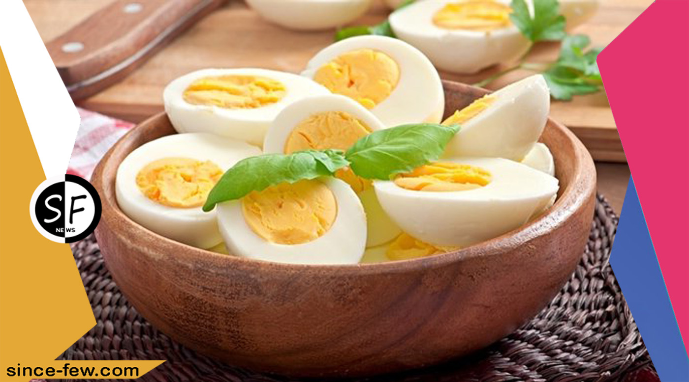 Recent Studies: Poultry Eggs Are A Loyal Friend of A Kidney Patient