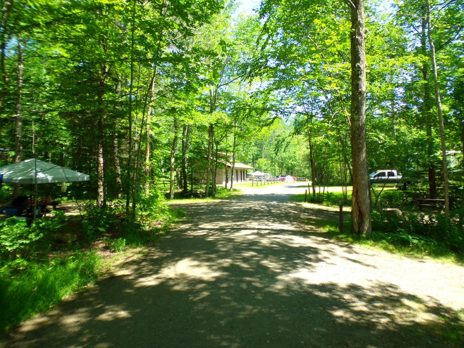 Lake St. State Park, Liberty, Maine