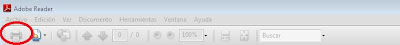 imprimir documento en formato pdf
