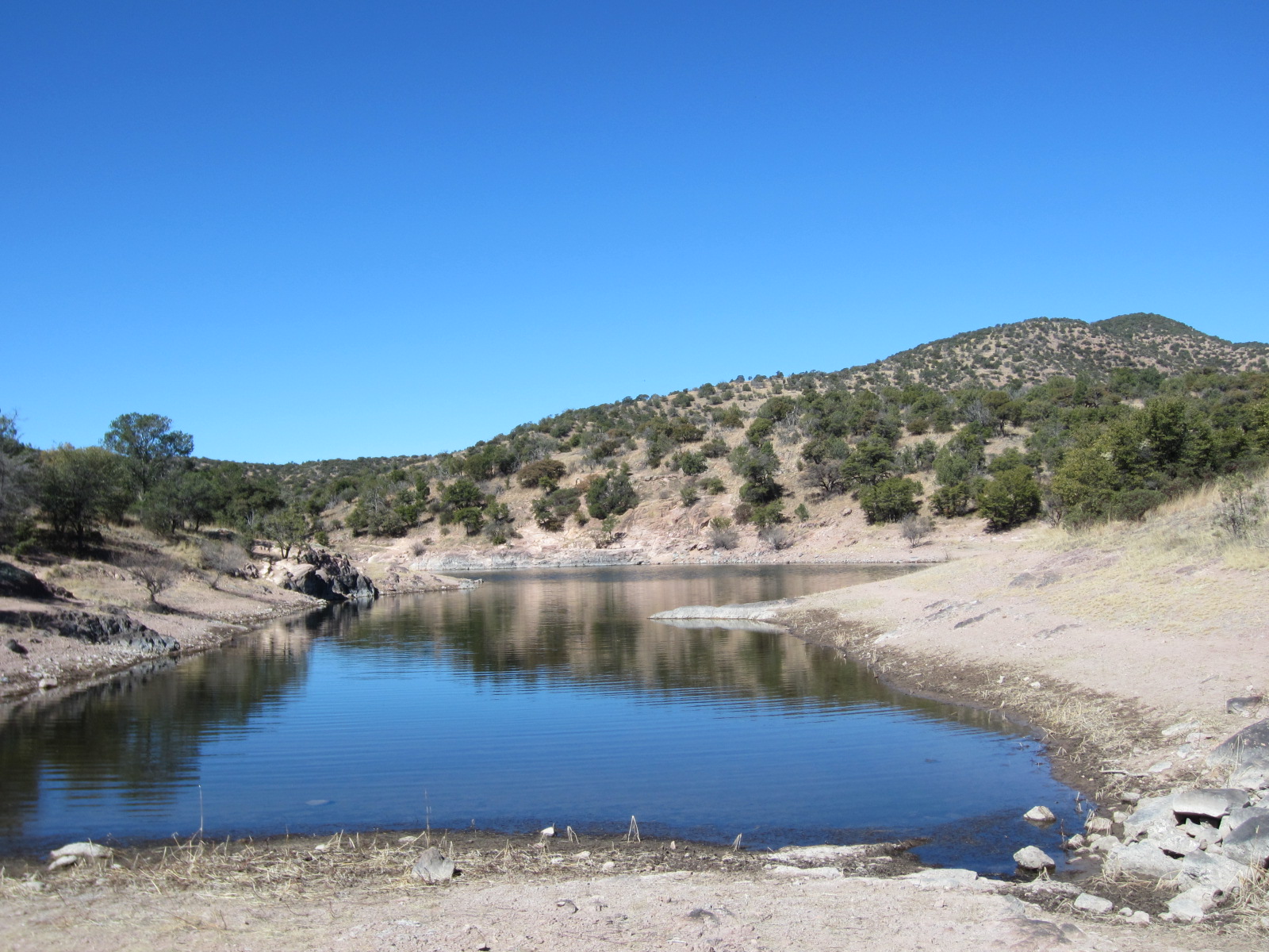 A NOVICE HIKER TRAILS AND TRIALS Return to Parker Canyon Lake in the
