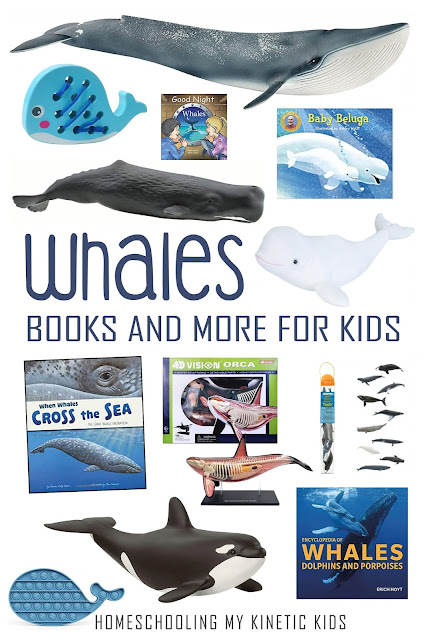 Montessori-inspired 3-part cards to match the Safari Ltd whales toob of animals.  Suitable for learning about whales, using with sensory bins, and working on reading and spelling.