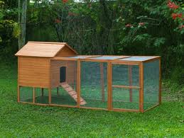 ... Chicken Coop: Backyard chicken coop ideas - Build your own chicken