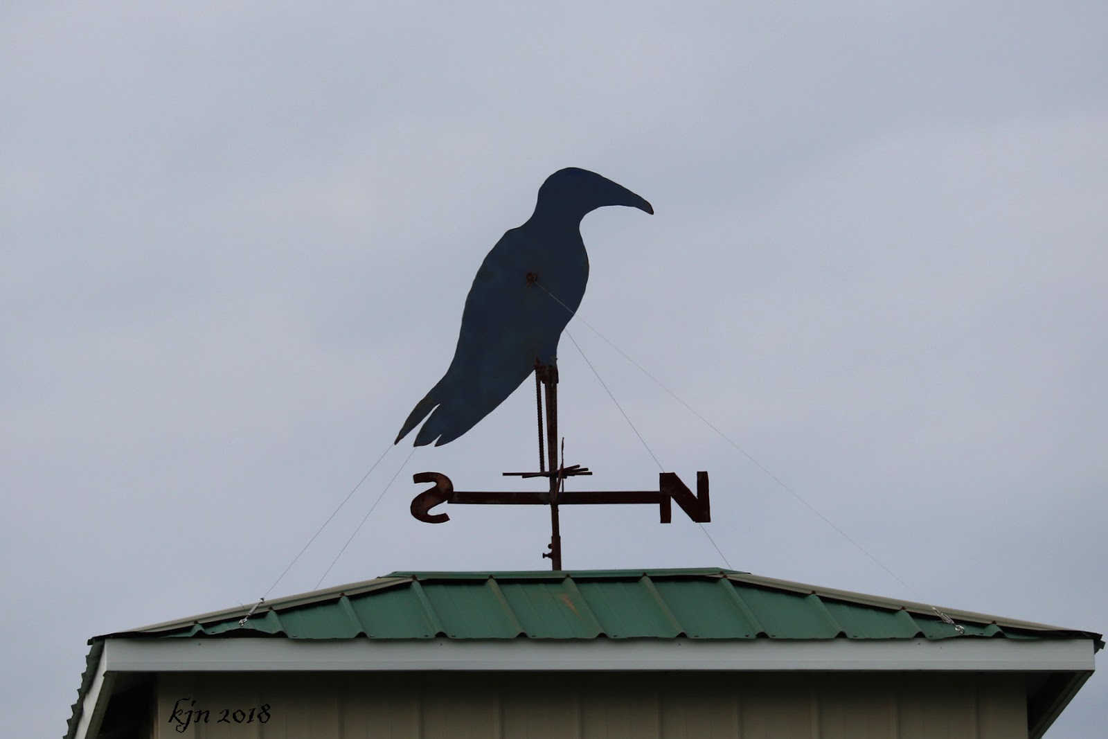 The Outskirts of Suburbia Blue Crow