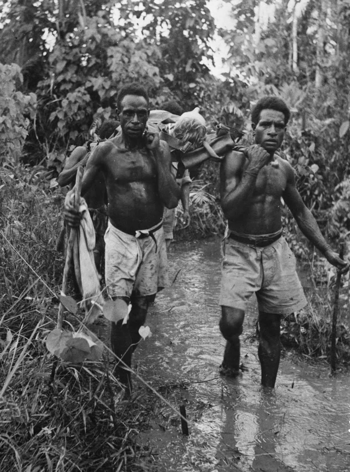 Stretcher bearers evacuate a wounded soldier through the Sanananda area.