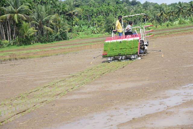 Demonstration of mechanized paddy cultivation at Dharmasthala