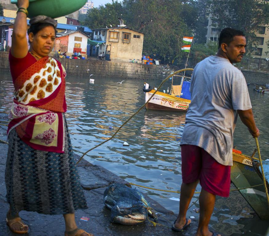 Mumbai Daily Fish and fisherfolk