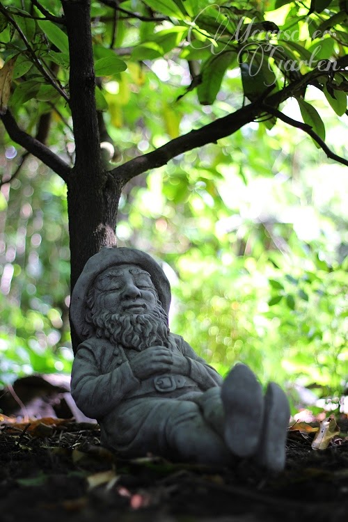 Magischer Garten Galerie