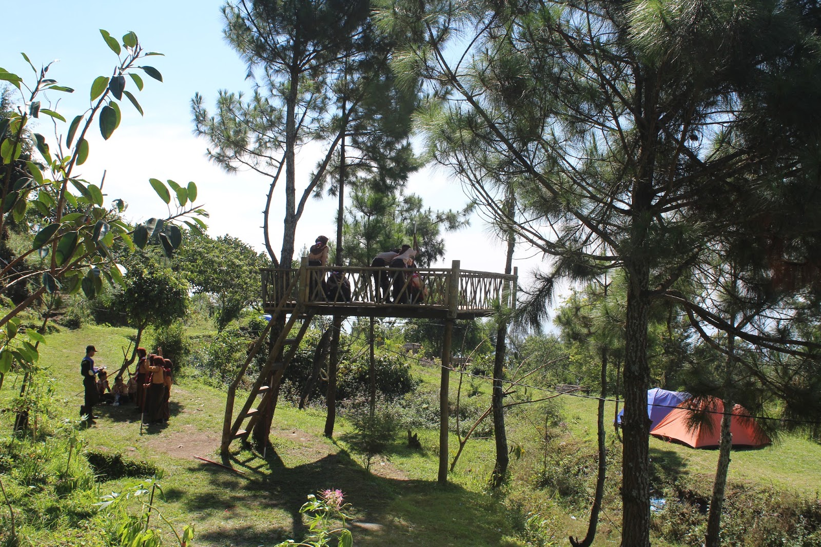 Wisata Kemping Keluarga di Base Camp Mawar Ungaran ...