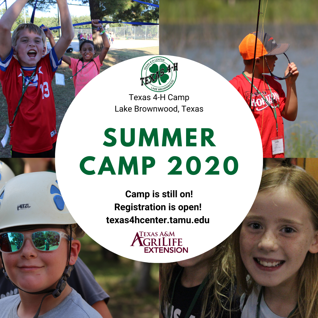 Comal County 4H News Texas 4H Center Summer Camps
