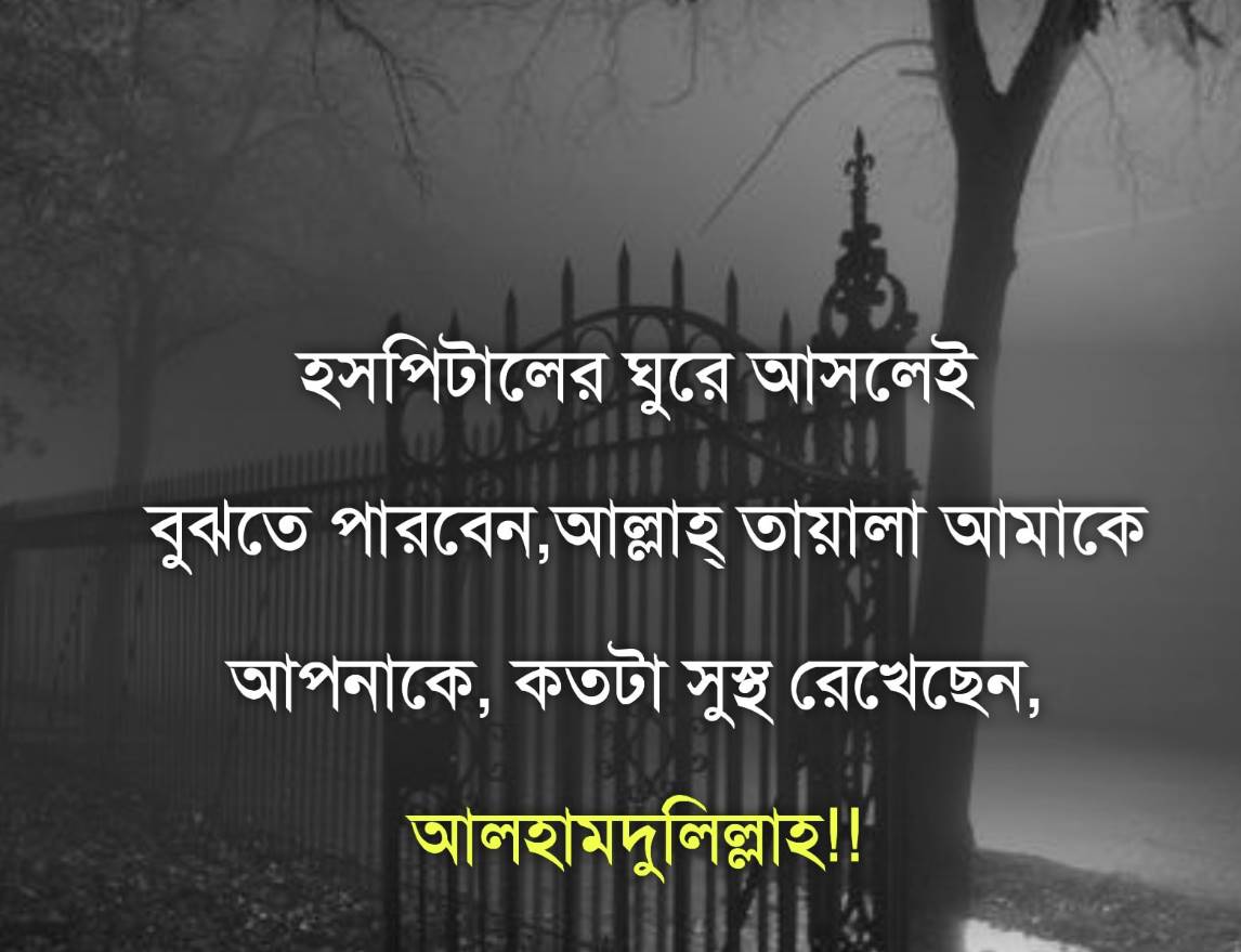 ইসলামিক লেখা পিকচার hd	