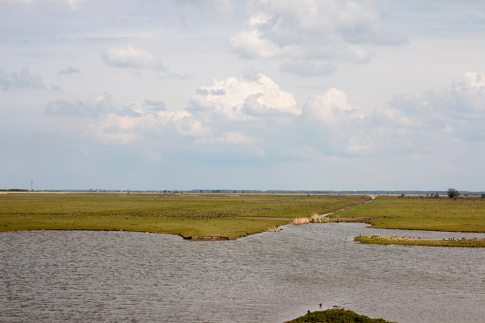 De Oostvaarders De Oostvaarders