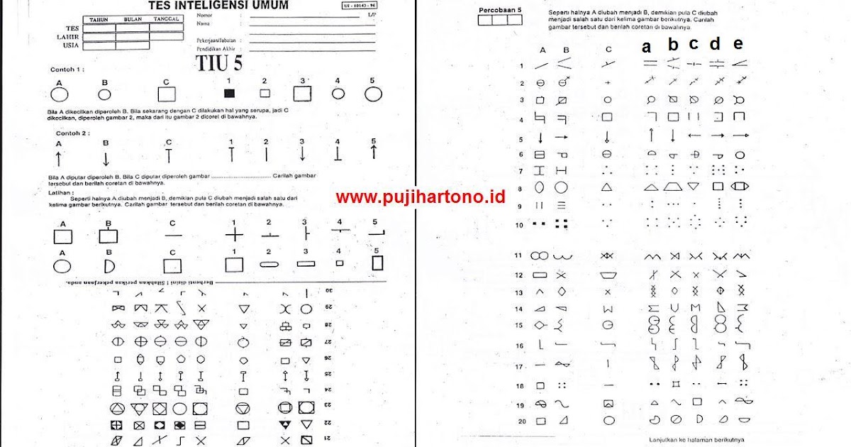 Soal Psikotes Sinonim Dan Jawabannya