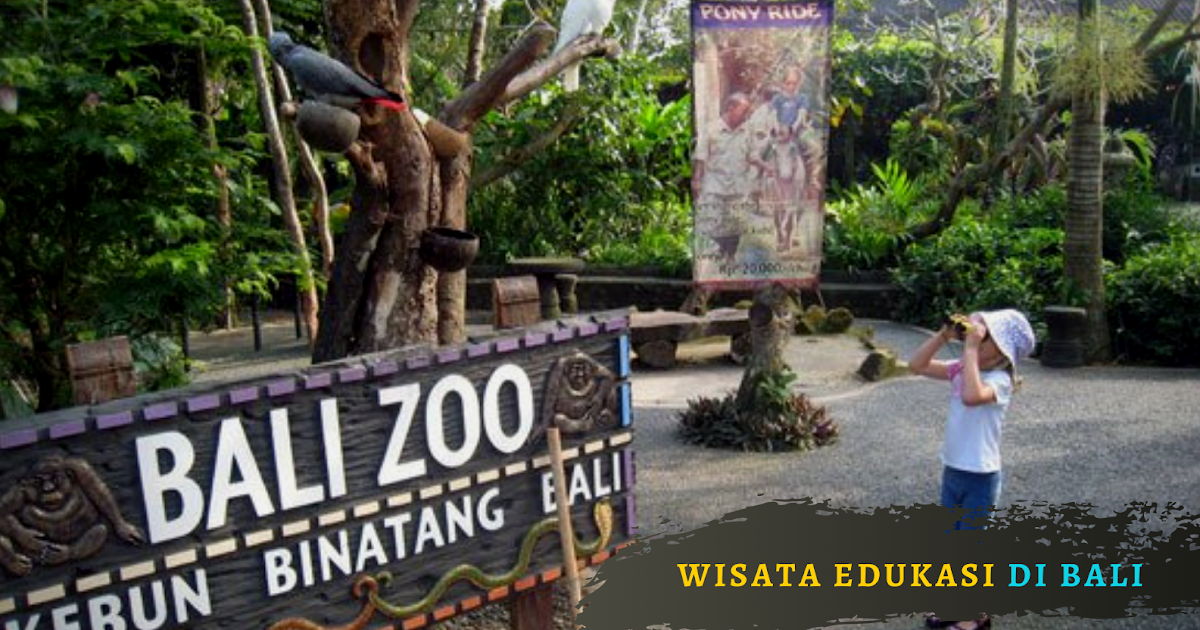 5 Objek Wisata Edukasi di Bali Kantin Pendidikan