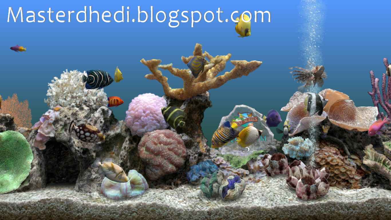 Marine aquarium 3
