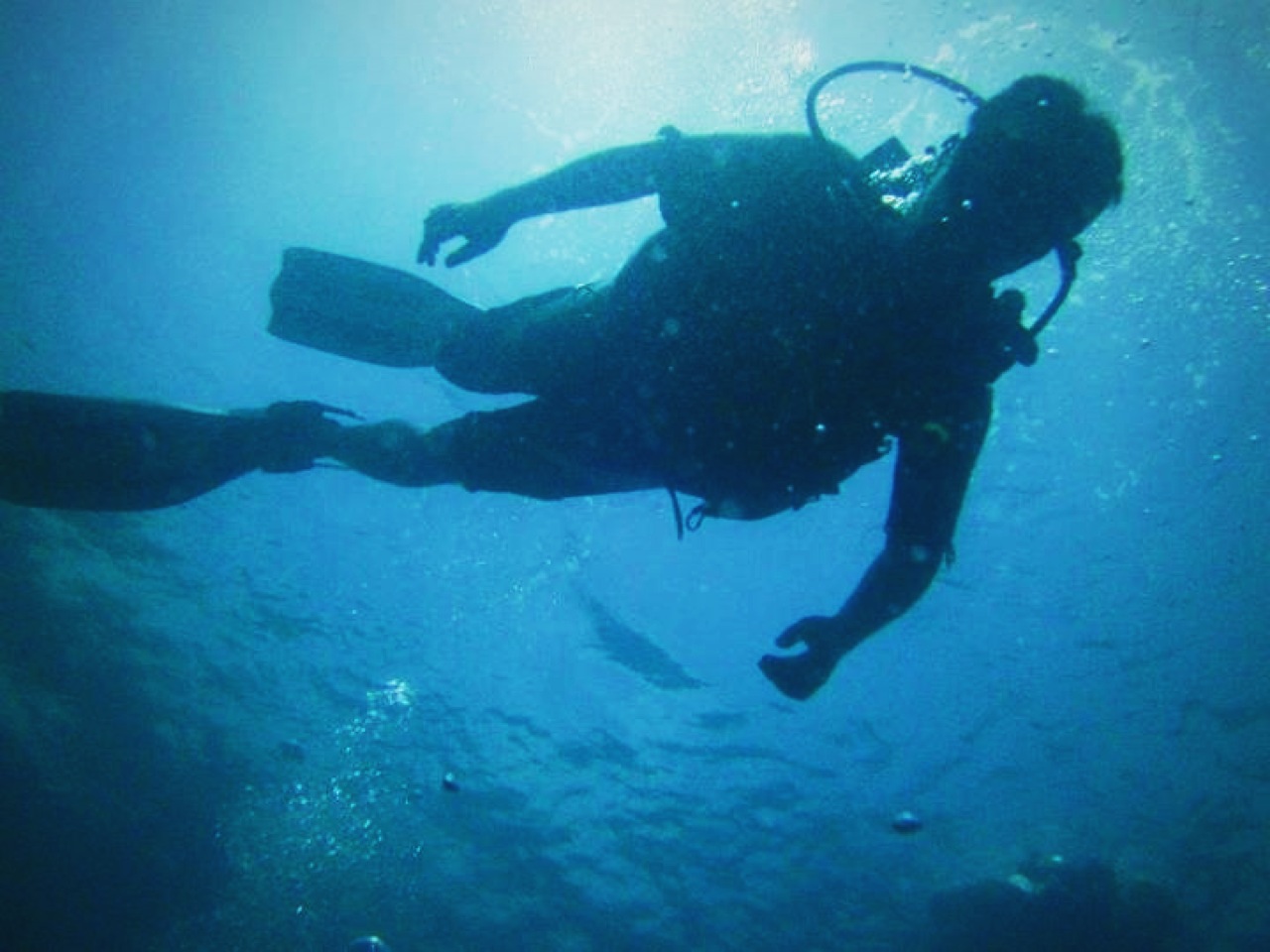 a tuff life traveling opposite directions Scuba Diving in Coron