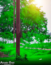 background blur nature cb cool