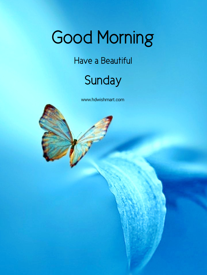 35 Best Happy Sunday Wishes: Images, Greetings, Photos, and Quotes -  HDWISHMART