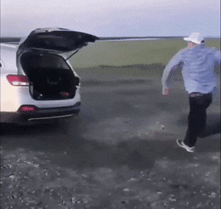daily_gifdump_3264_06.gif