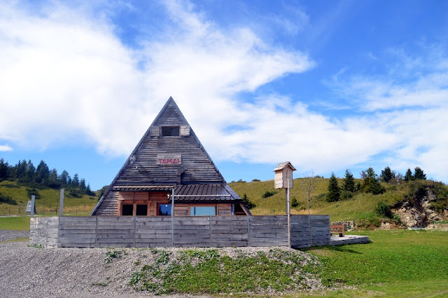 monte zoncolan estate anello tamai