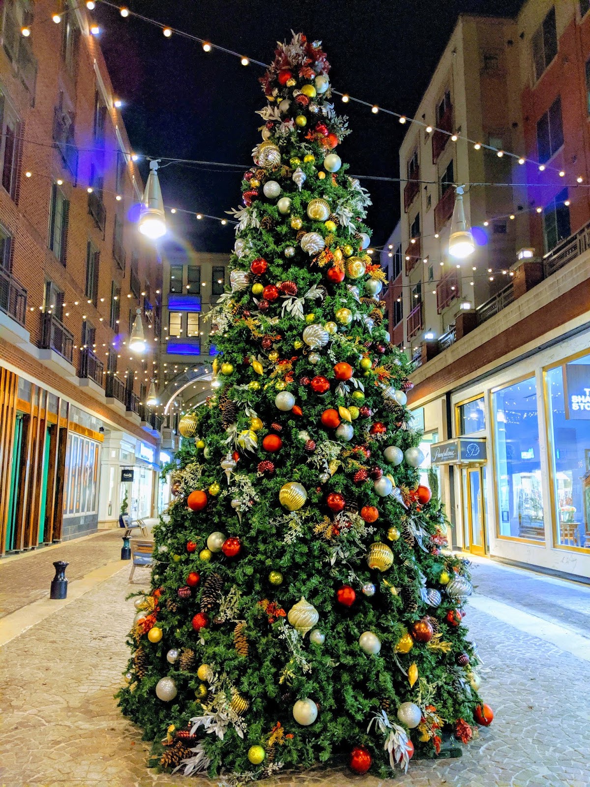Robert Dyer Bethesda Row Christmas trees delivered at Bethesda Row